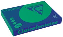 Clairefontaine gekleurd papier Trophée Intens A3 160 g/m² dennegroen