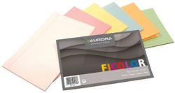 Aurora gekleurde systeemkaarten Bicolor - Pak van 120 stuks