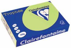 Clairefontaine gekleurd papier Trophée Pastel A4 120 g/m² golfgroen