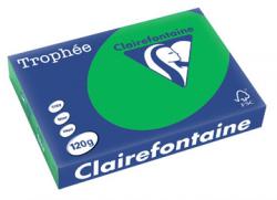 Clairefontaine gekleurd papier Trophée Intens A4 120 g/m² biljartgroen