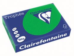 Clairefontaine gekleurd papier Trophée Pastel A4 160 g/m² biljartgroen