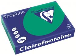 Clairefontaine gekleurd papier Trophée Pastel A4 160 g/m² dennegroen