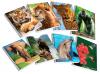 Gallery schrift Wild Animals A4 gelijnd - Pak van 10 stuks