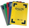 Gallery spiraalschrift Traditional A4 ass. kleuren - Geruit 5 mm - Pak van 6 stuks