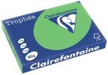 Clairefontaine gekleurd papier Trophée Intens A3 80 g/m² grasgroen 