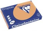 Clairefontaine gekleurd papier Trophée Pastel A3 160 g/m² mokkabruin 