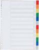 5Star tabbladen karton A4 23-gaats met indexblad - 12 tabs geassorteerde kleure