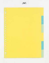 Class'ex tabbladen A4 karton met 6 tabs (zonder inlegvel) 