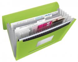 Esselte projectmap A4 Vivida groen