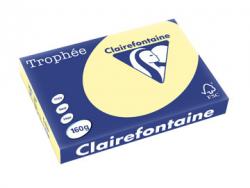 Clairefontaine gekleurd papier Trophée Pastel A3 160 g/m² geel