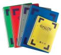 Gallery spiraalschrift Traditional A5 ass. kleuren 