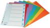 Esselte neutrale tabbladen A4 met 6 gekleurde tabs 